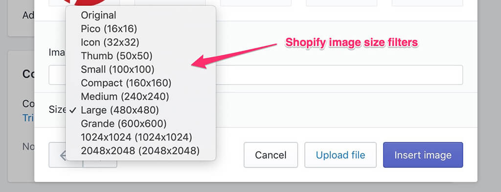 shopify image size filters for blogs