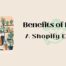 Benefits of Hiring a shopify expert